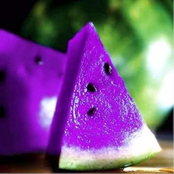 Purple watermelon Citrullus lanatus seeds for backyard garden